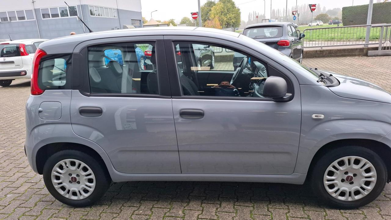 Fiat Panda 1.0 firefly hybrid s&s 70cv 5p.ti