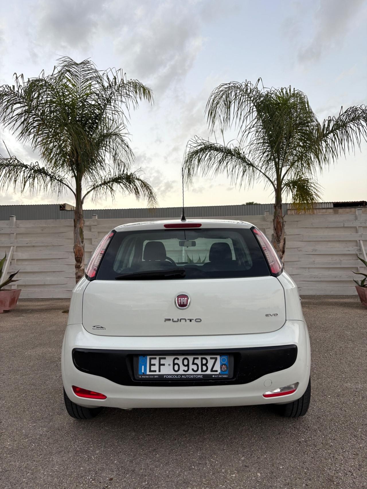 Fiat Punto Evo 1.3 Mjt tagliando eseguito 5 porte in eccellenti condizioni