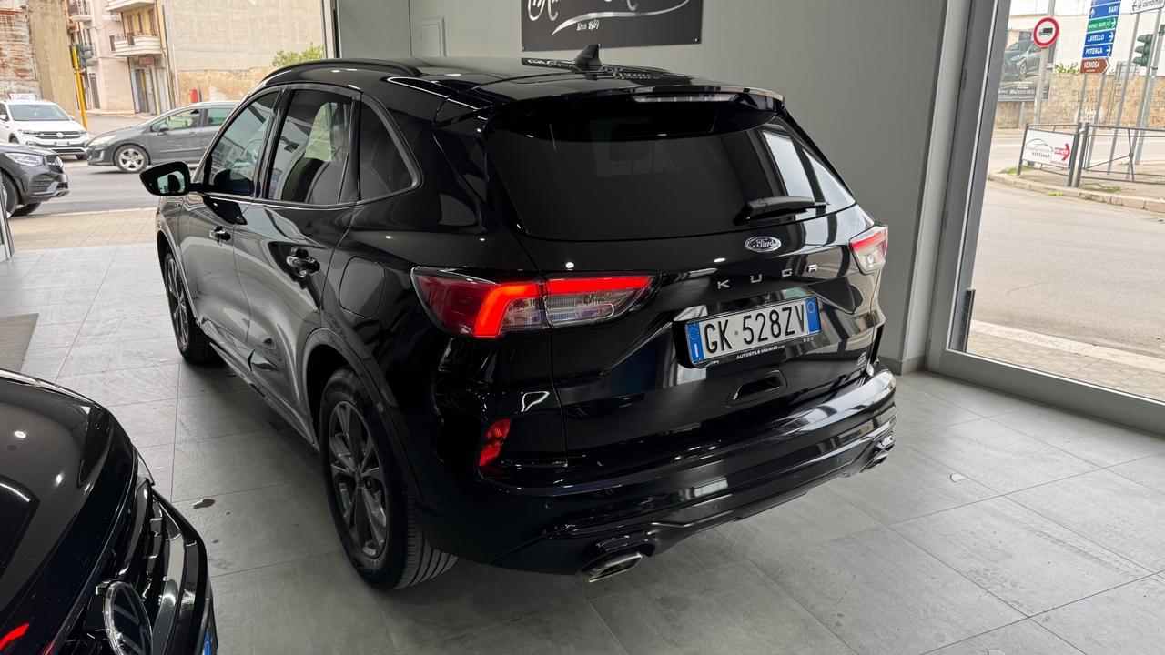 Ford Kuga 1.5 EcoBlue 120 CV 2WD ST-Line-2022
