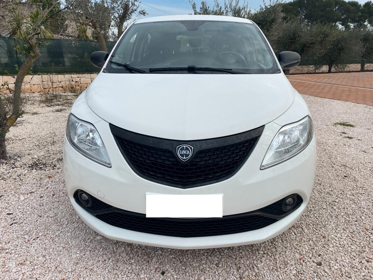 Lancia Ypsilon 1.3 MJT 75 CV Passion AUTOMATICO