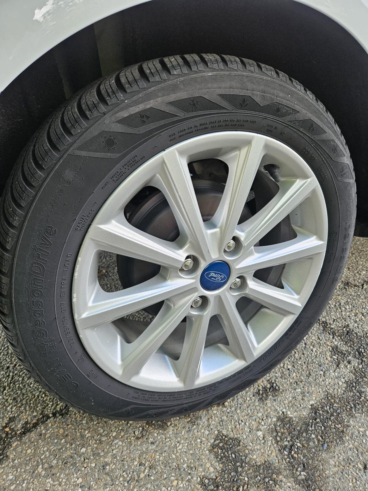 Ford B-Max 1.5 TDCi 75 CV Business Titanium