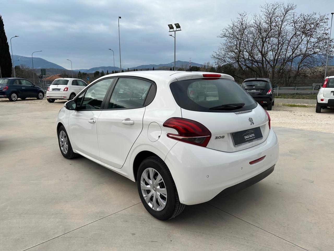 Peugeot 208 BlueHDi 100 S&S 5 porte Van Active
