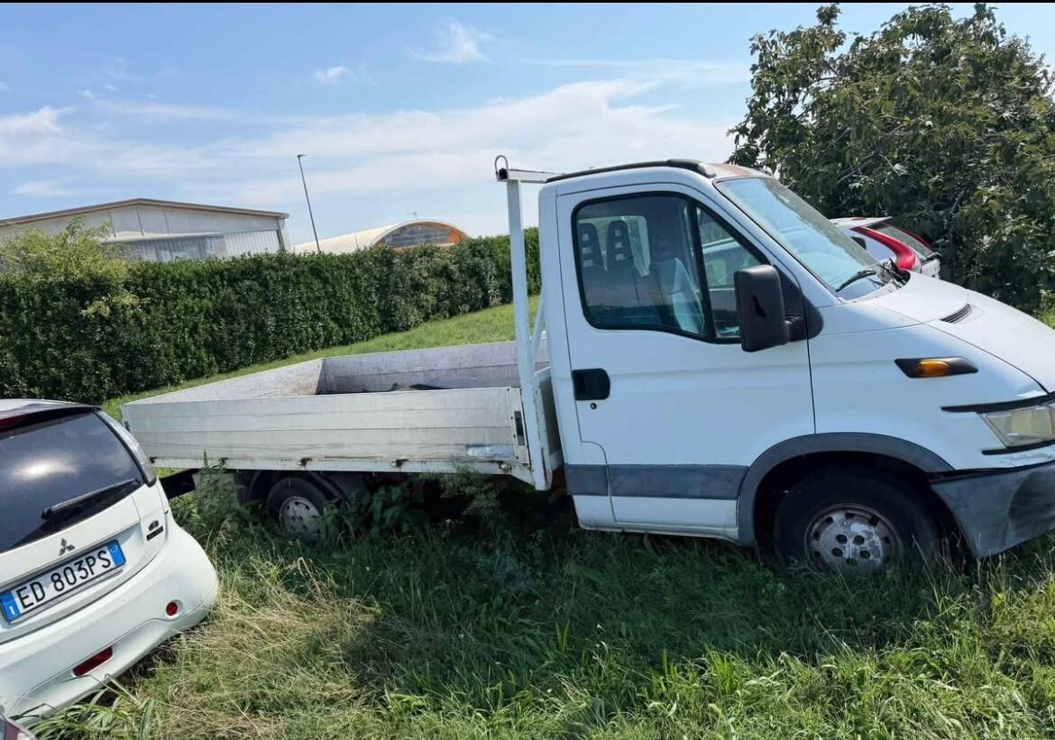 Iveco Daily cassonato