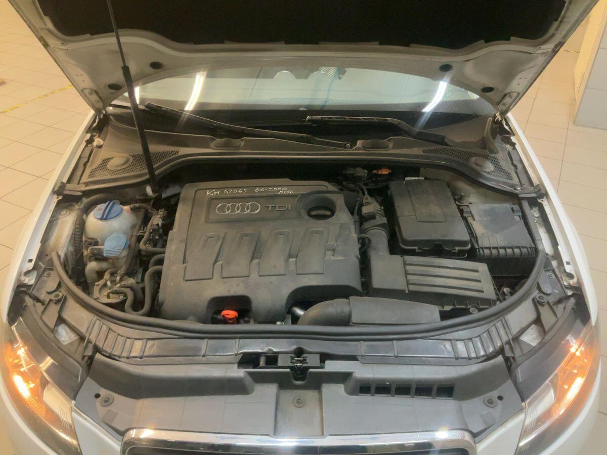 Audi A3 SPB 1.6 TDI Young Edition