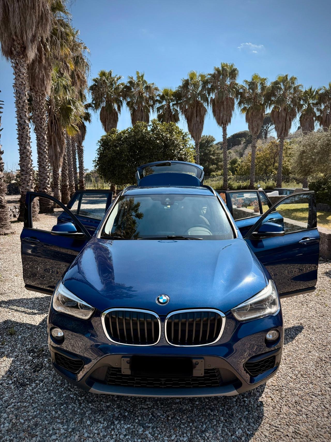 Bmw X1 xDrive20d Business
