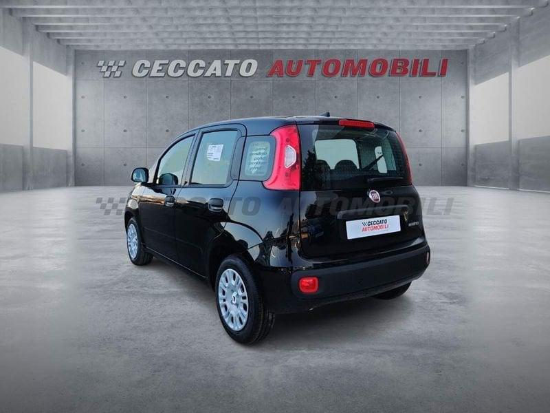 FIAT Pandina Pandina 1.0 65cv Hybrid Icon