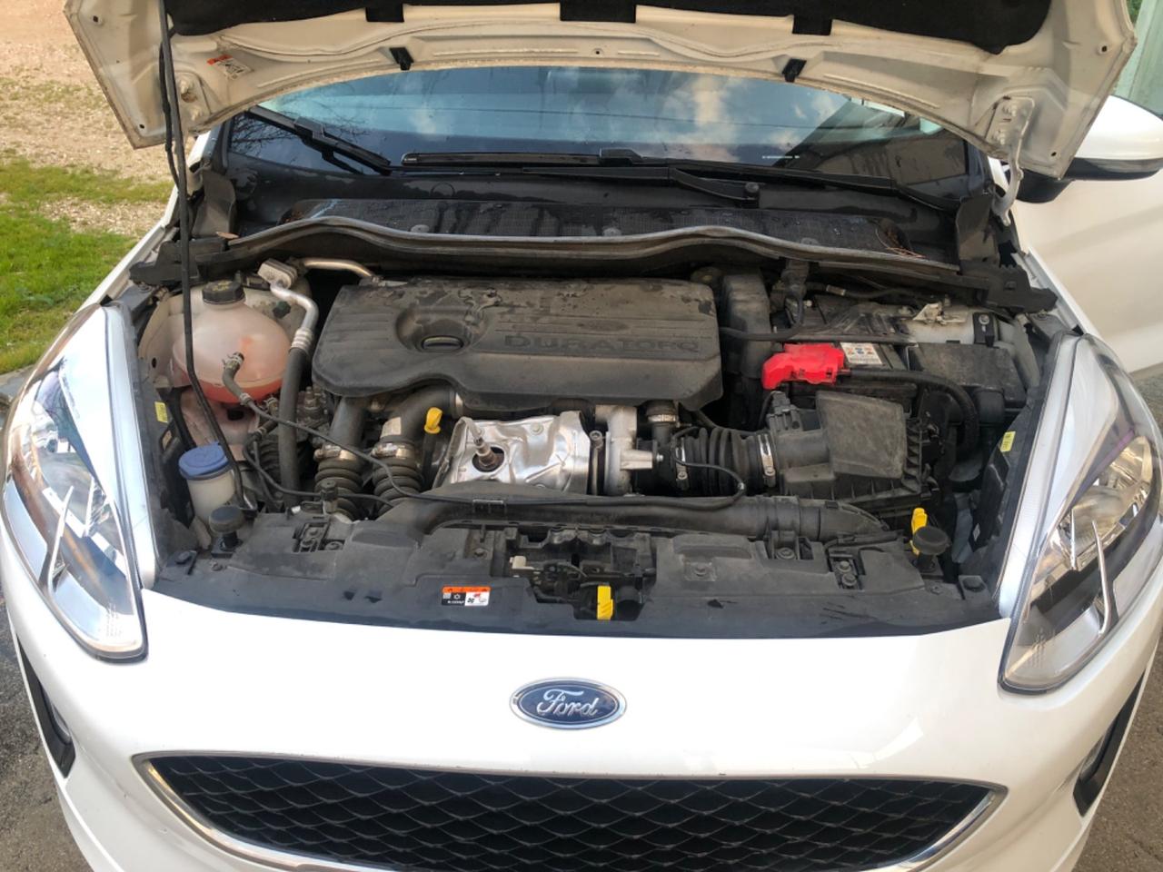 Ford Fiesta 1.5 TDCi 5 porte Business High