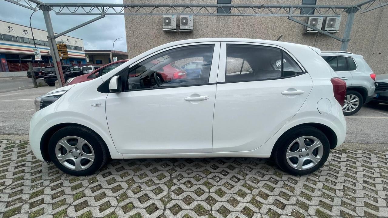 Kia Picanto 1.0 12V 5 porte Urban