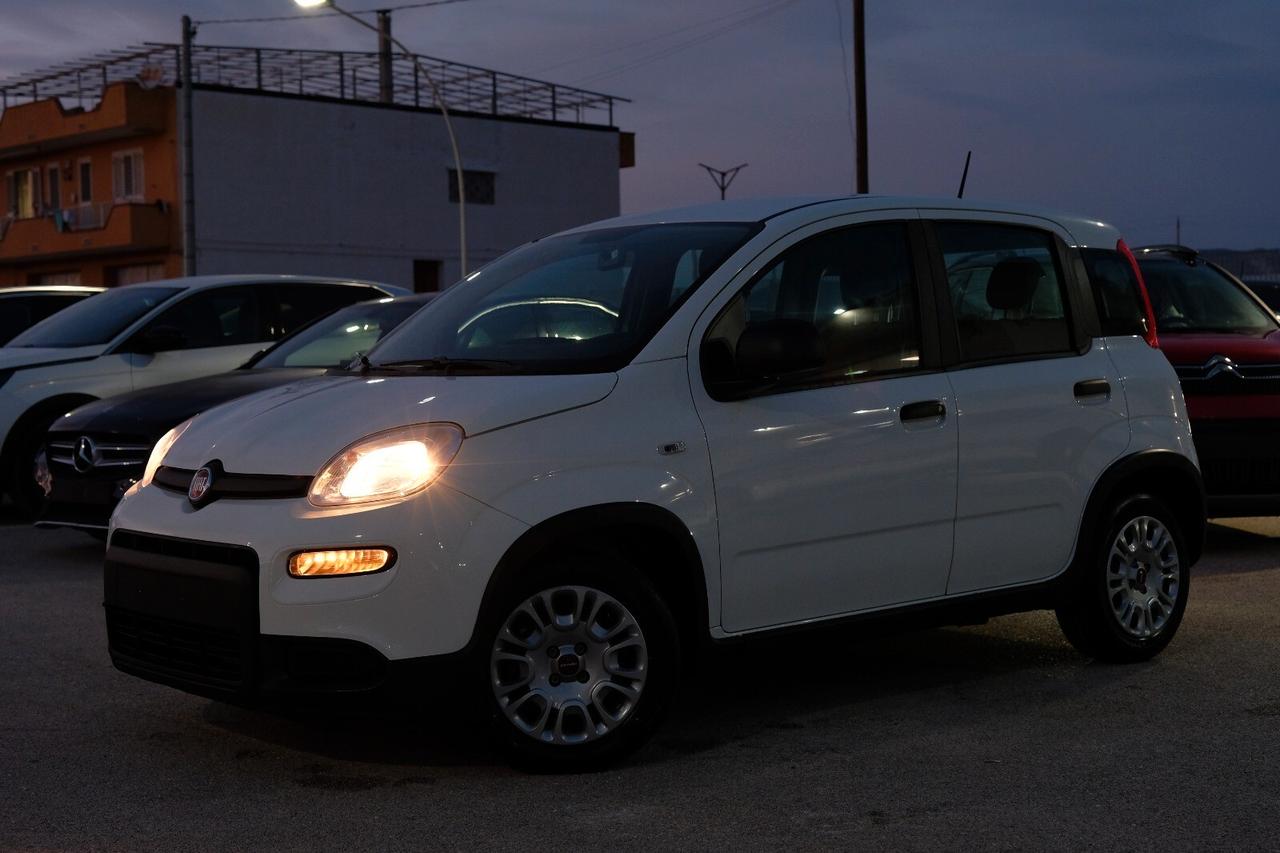 Fiat Panda 1.0 FireFly S&S Hybrid