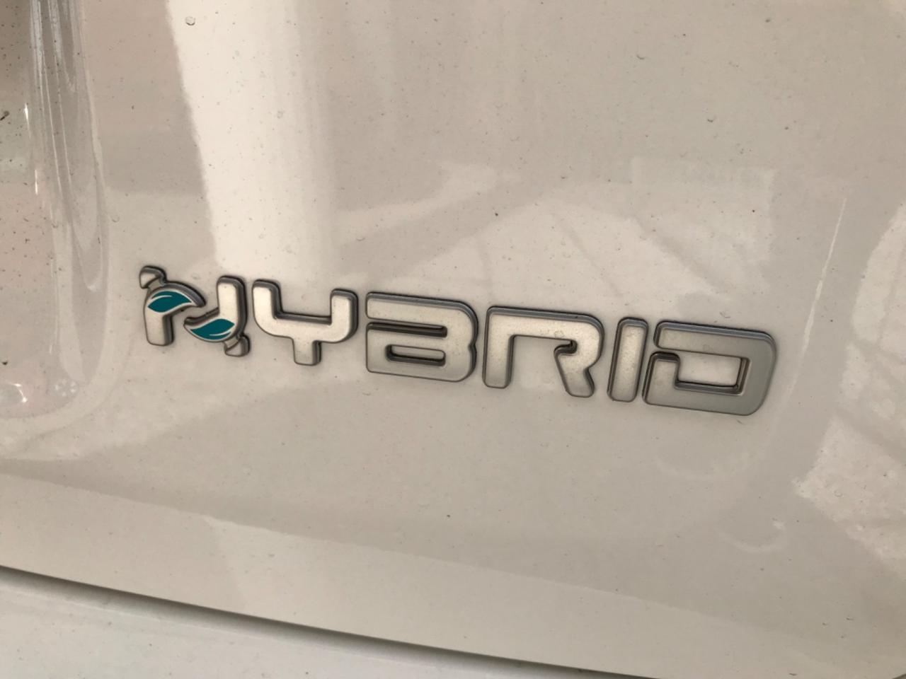 Fiat Panda Pandina 1.0 FireFly 65 CV Hybrid Pop