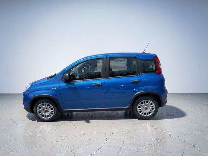 FIAT Panda 1.0 FireFly S&S Hybrid+ Pack City/Kit 5 Posti+