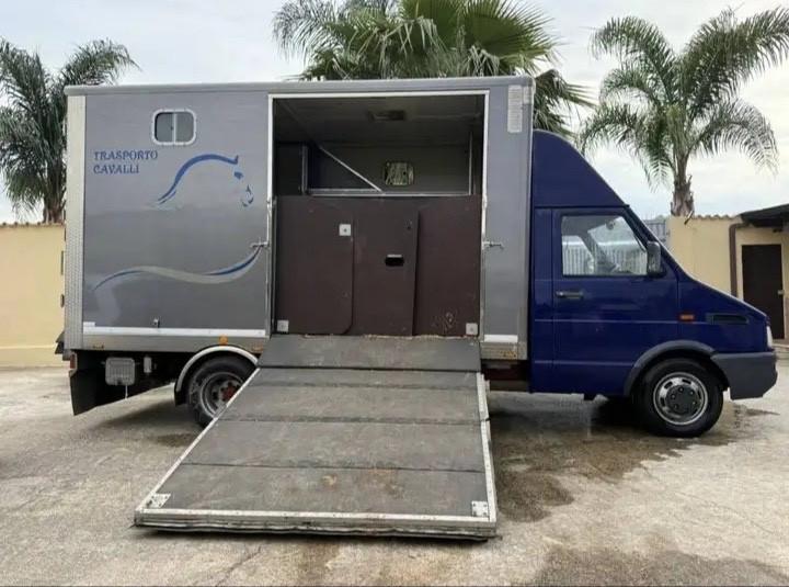 Iveco Daily 35.12 Trasporto cavalli