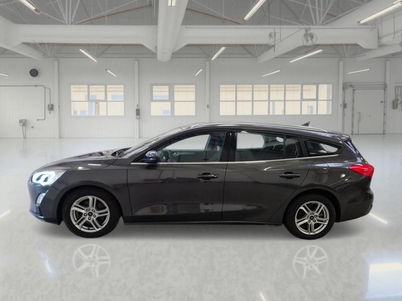 FORD FOCUS WAGON 1.5 Ecoblue 120cv Business Co-Pilot Auto