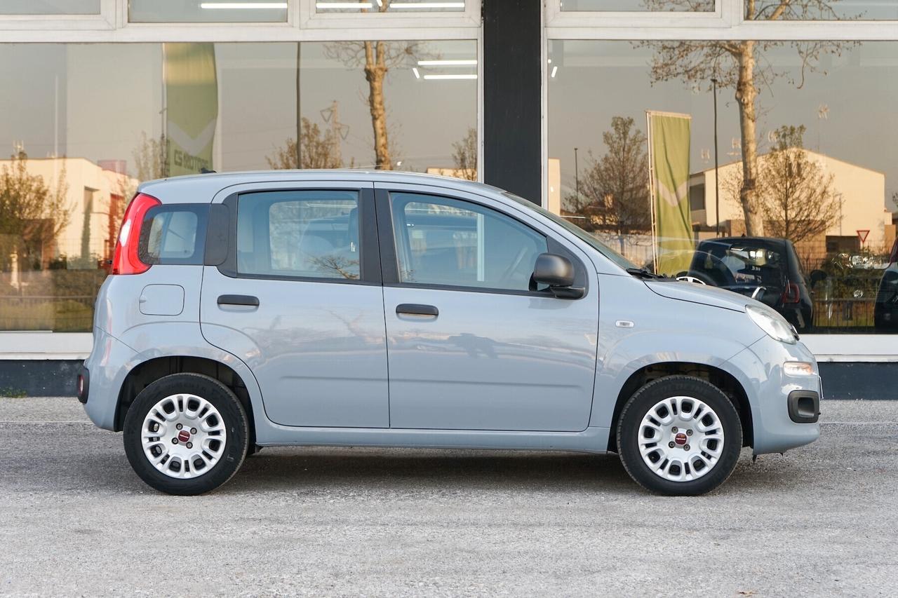 Fiat Panda 1.2 BENZINA AUTO IN ARRIVO 5 POSTI
