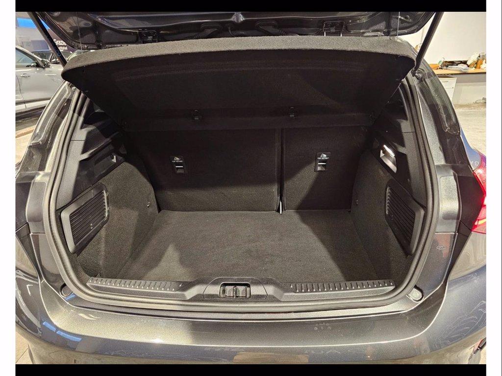 FORD Focus 1.5 ecoblue st-line 115cv auto del 2024