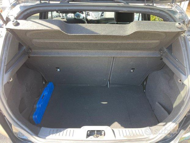 Ford Fiesta 1.4 5 porte Bz.- GPL Black & White Edition