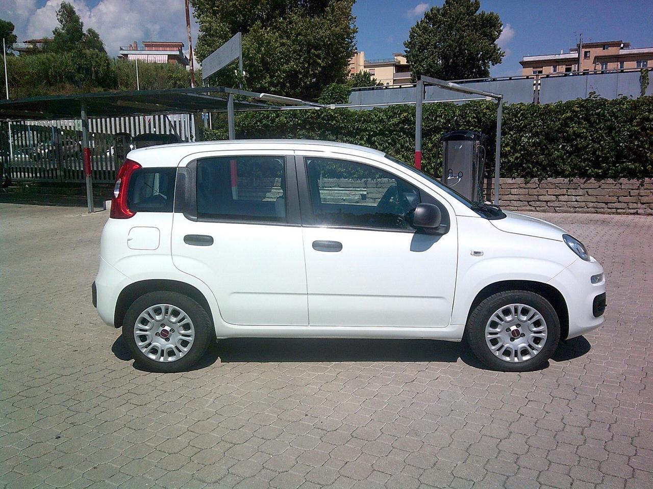 Fiat Panda 1.2 Easy*5 Posti*Prezzo Vero*