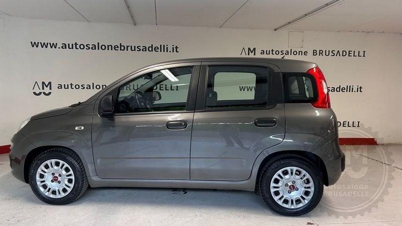 FIAT Panda Panda 1.0 FireFly S&S Hybrid 5 POSTI *PREZZO REALE*