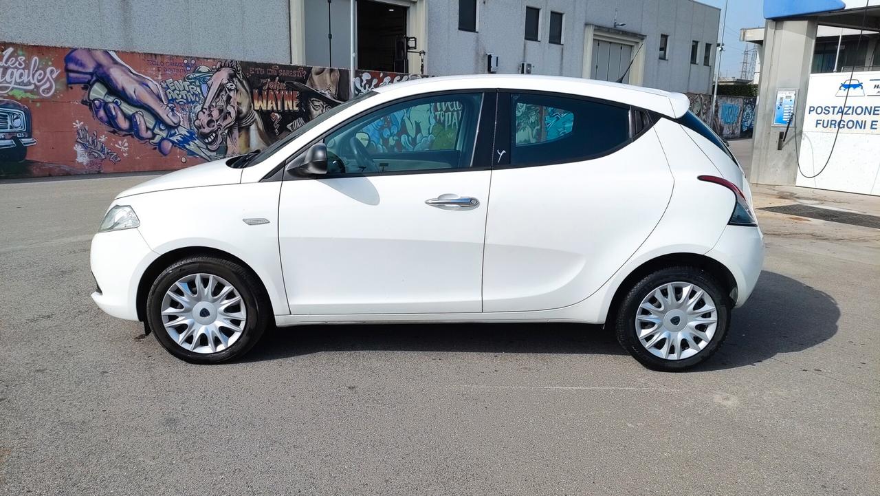 Lancia Ypsilon 1.3 MJT 95CV 5 porte NEOPATENTATI - 2015