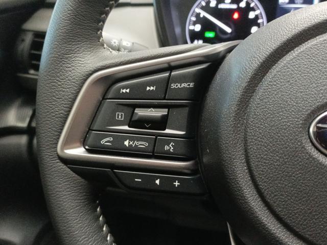 SUBARU Crosstrek 2.0i e-Boxer MHEV CVT Lineartronic Premium