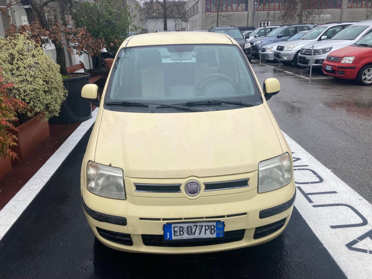 FIAT PANDA 1.2 BENZINA 5 PORTE (DYNAMIC)