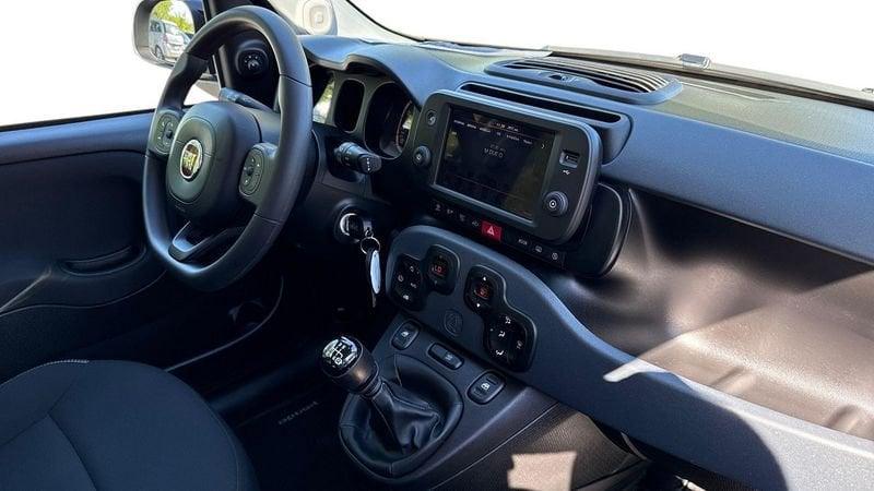 FIAT Panda Cross Panda III 2021 Cross 1.0 FireFly Hybrid 70cv S&S 5p.ti