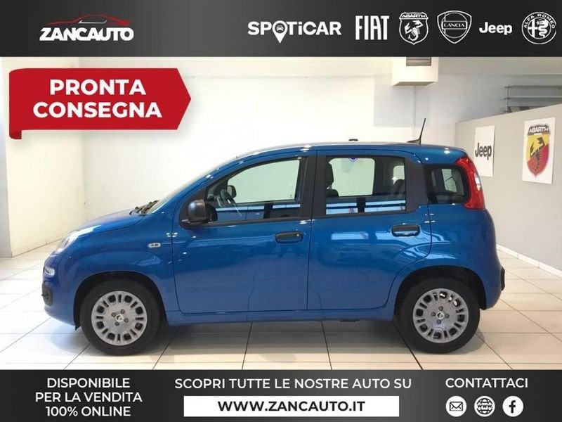 FIAT Panda Panda 1.0 FireFly S&S Hybrid Icon 65cv 4 POSTI