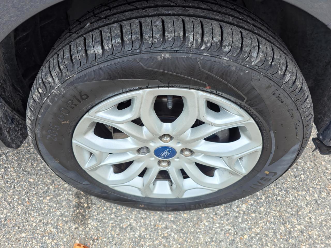 Ford EcoSport 1.5 110 CV Powershift Business 2016-E6B Automatico NEO