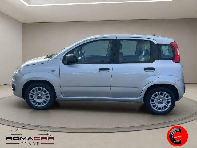 FIAT Panda 3ª serie - 1.2 Easy