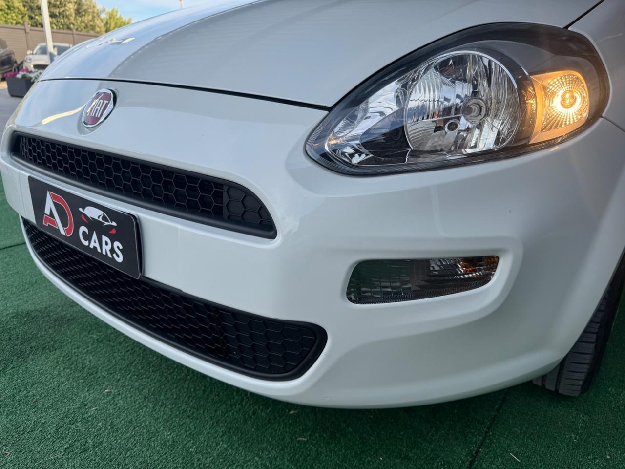 Fiat Punto 1.2 8V 5 porte Street