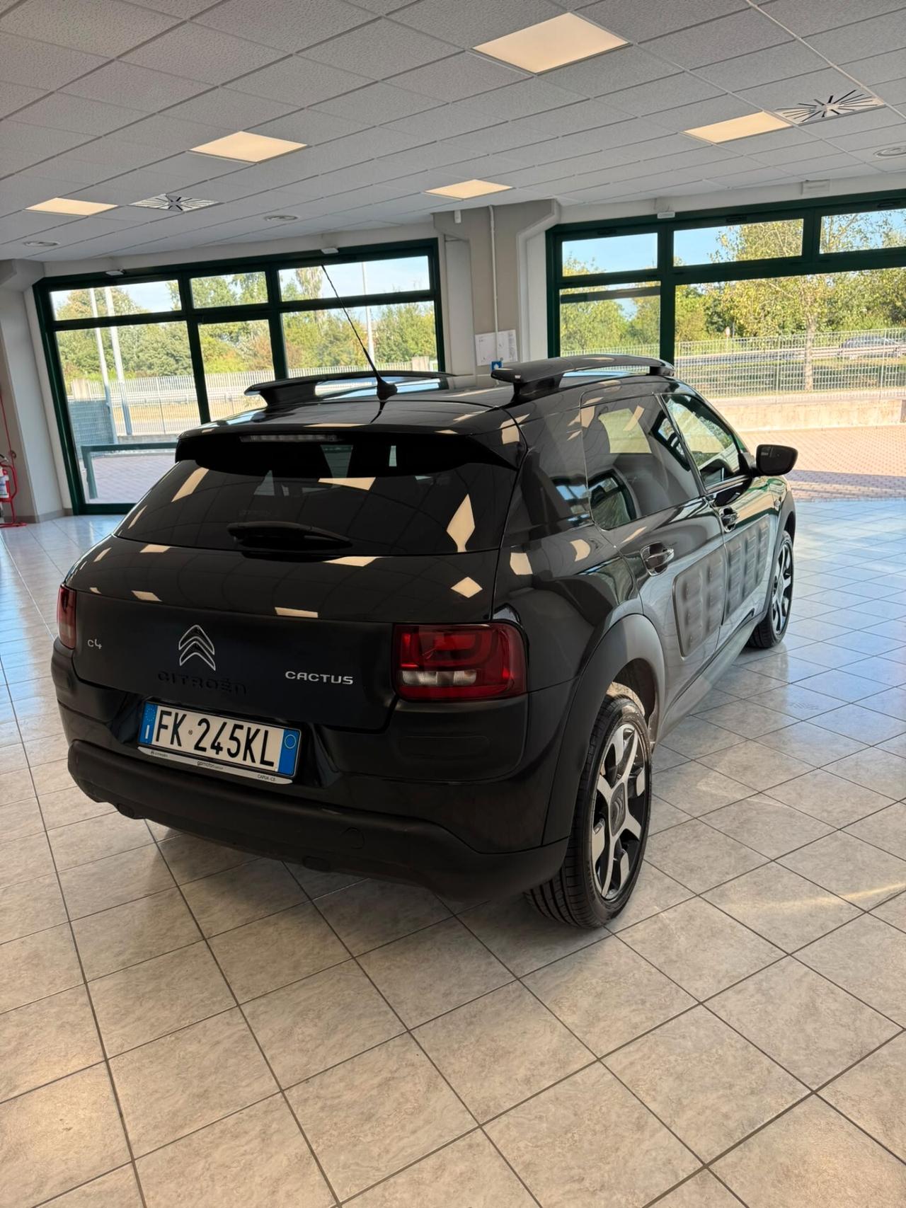 Citroen C4 Cactus BlueHDi 100 Shine