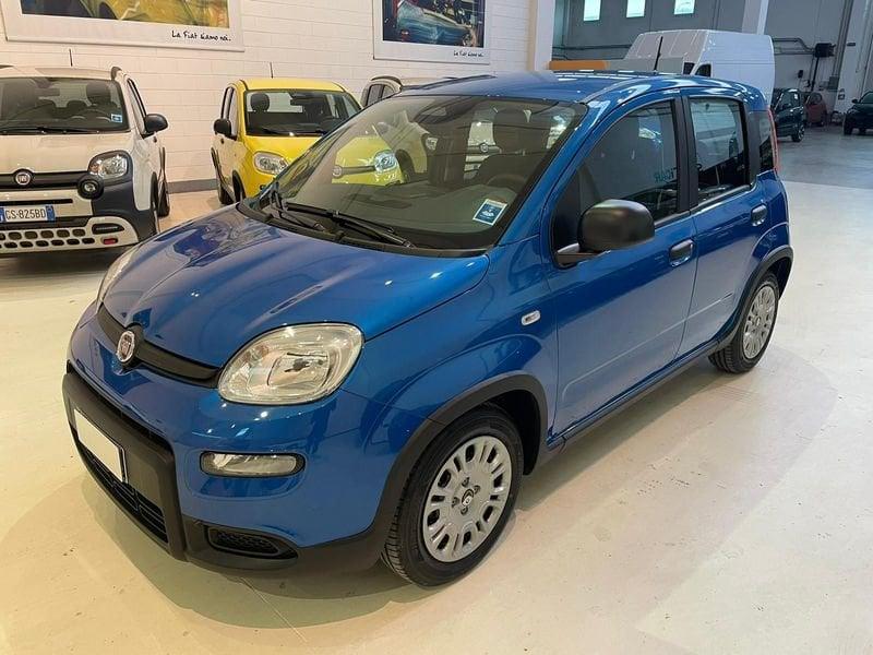 FIAT Panda 1.0 FireFly S&S Hybrid PRONTA CONSEGNA