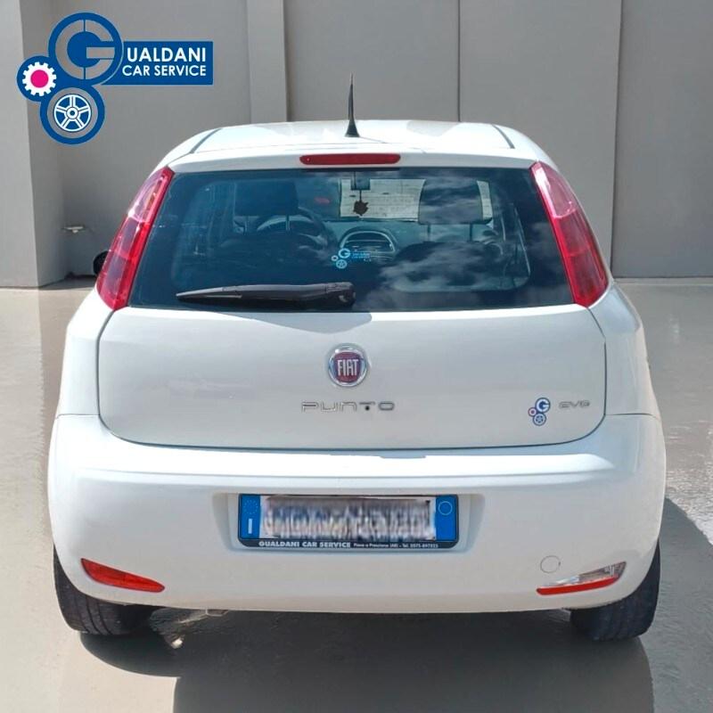 FIAT Punto 4ª serie Punto 1.2 8V 5 porte Street
