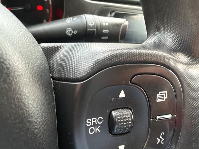 FIAT Panda AUTOCARRO 4 PORTE 1.0 FireFly S&S Hybrid