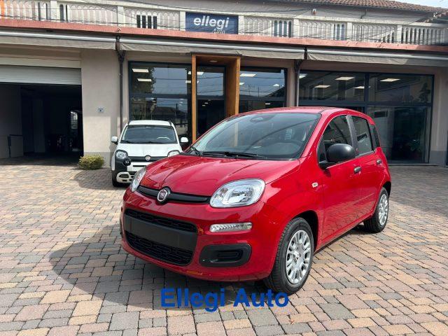 FIAT Pandina PROMO FINANZIAM 1.0 FireFly 65 CV Hybrid Pop KM 0