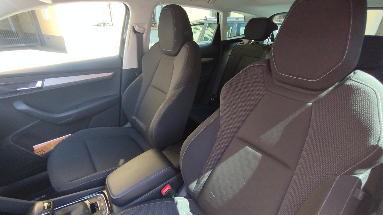 Skoda Karoq 2.0 TDI EVO SCR 115 CV DSG Executive