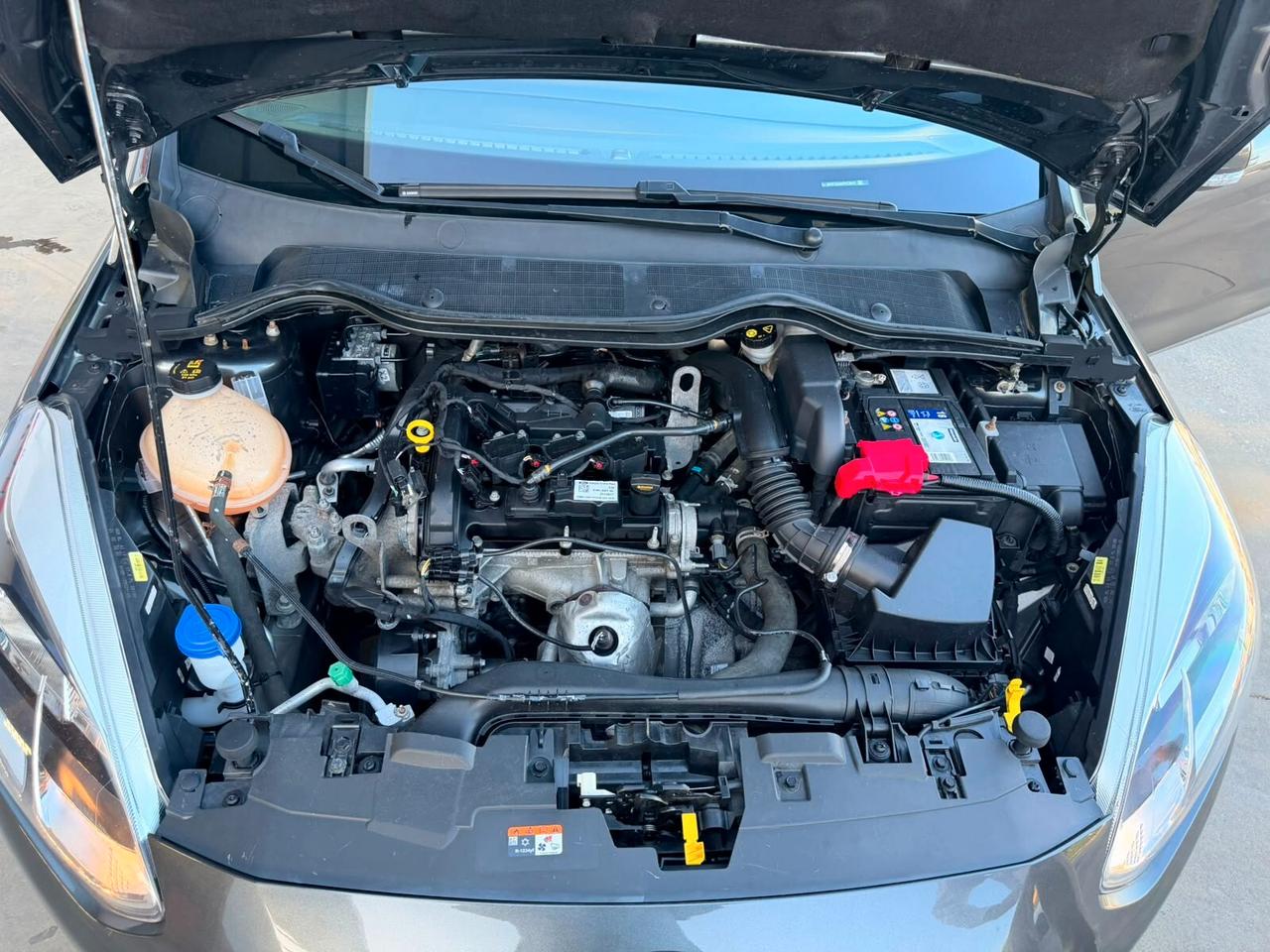 Ford Fiesta 1.1 3 porte Plus