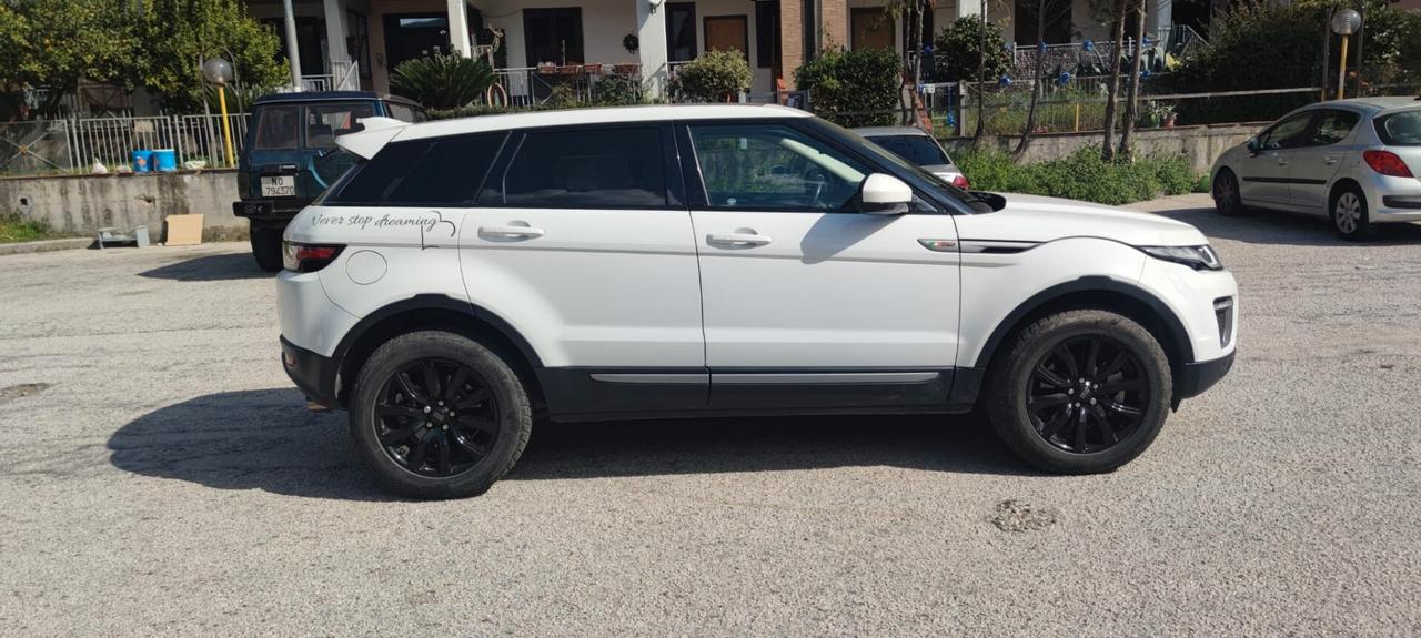 Land Rover Range Evoque 2.0 TD4 150 CV 5p. SE Dynamic TETTO