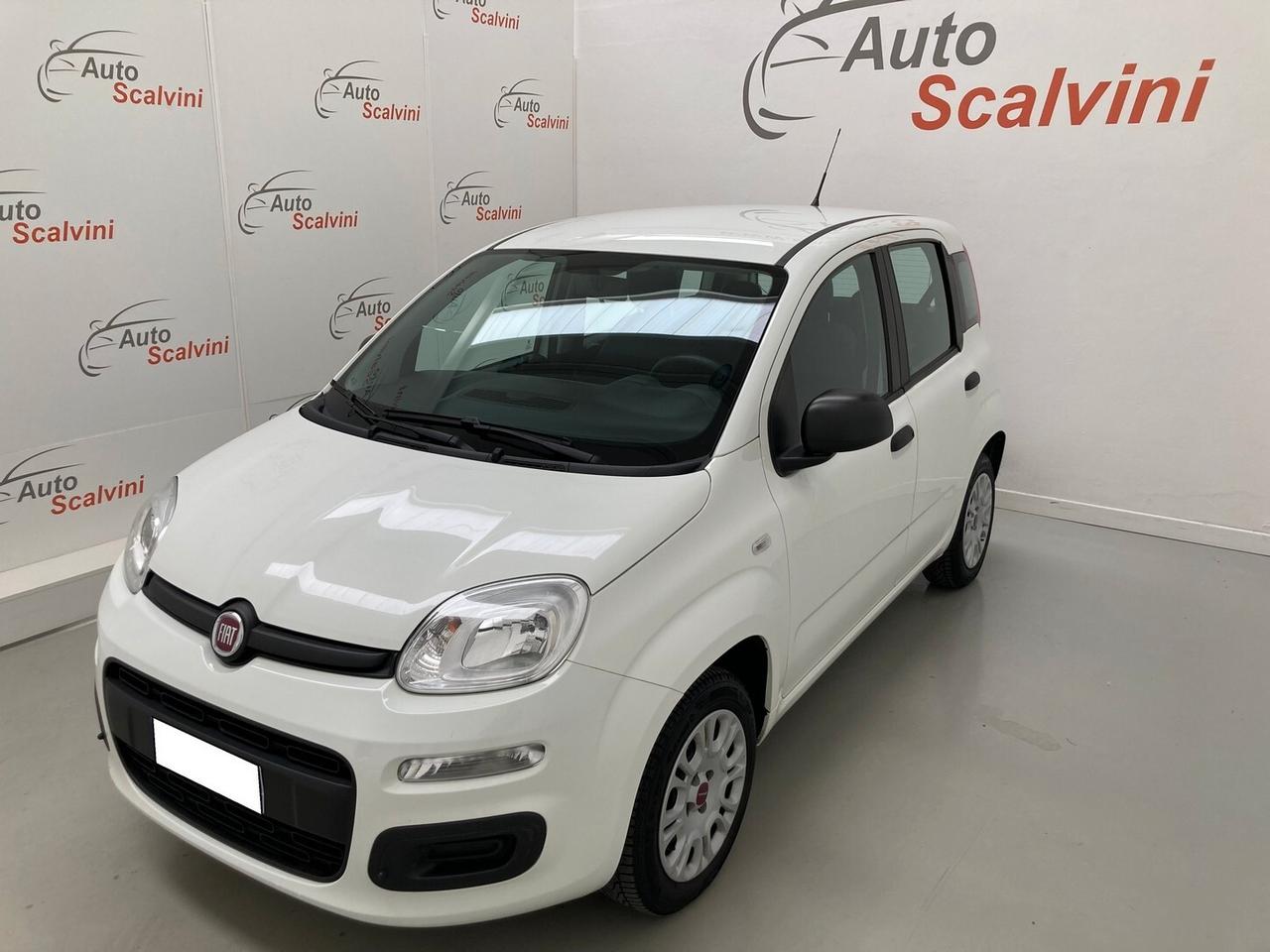 Fiat Panda 1.2 Easy 69CV 5POSTI#NEOPATENTATI