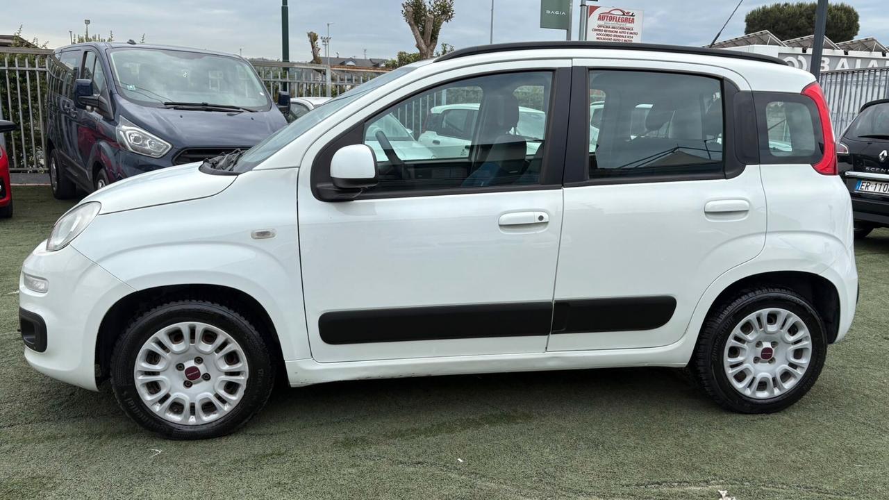 Fiat Panda 1.2 312PXA1A | BENZINA 169A4000 CC 1242 CV 69 KW 51 BERLINA, 5 P. (92816