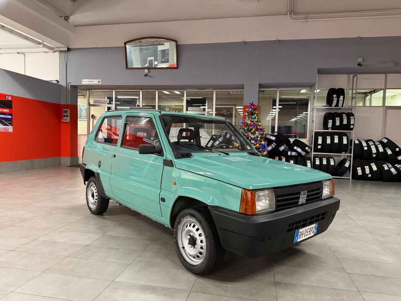 Fiat Panda 900 i.e. cat Young