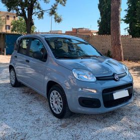 FIAT PANDA 3ª SERIE 1.2 EASY