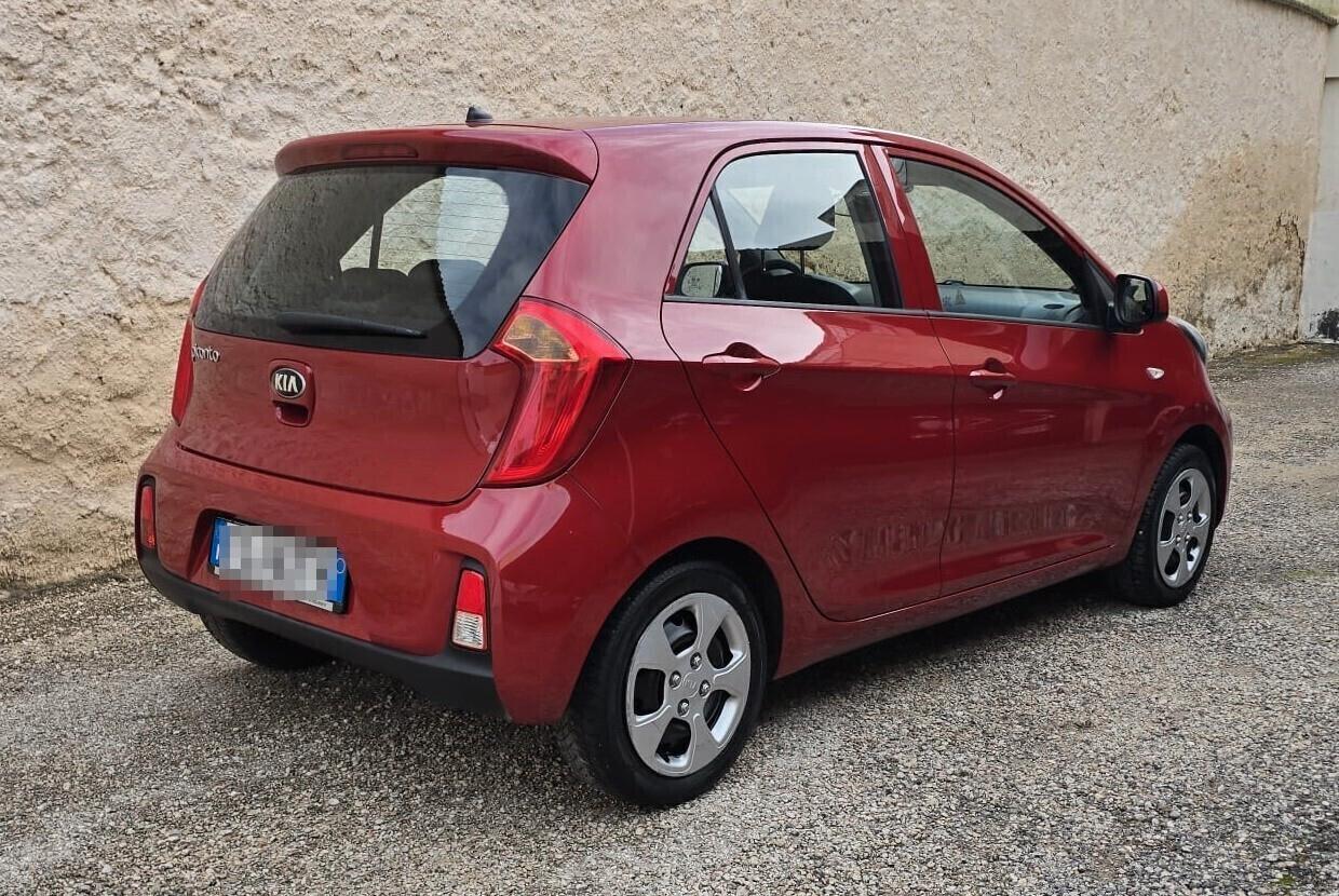 Kia Picanto 1.0 66 CV 5 porte Active