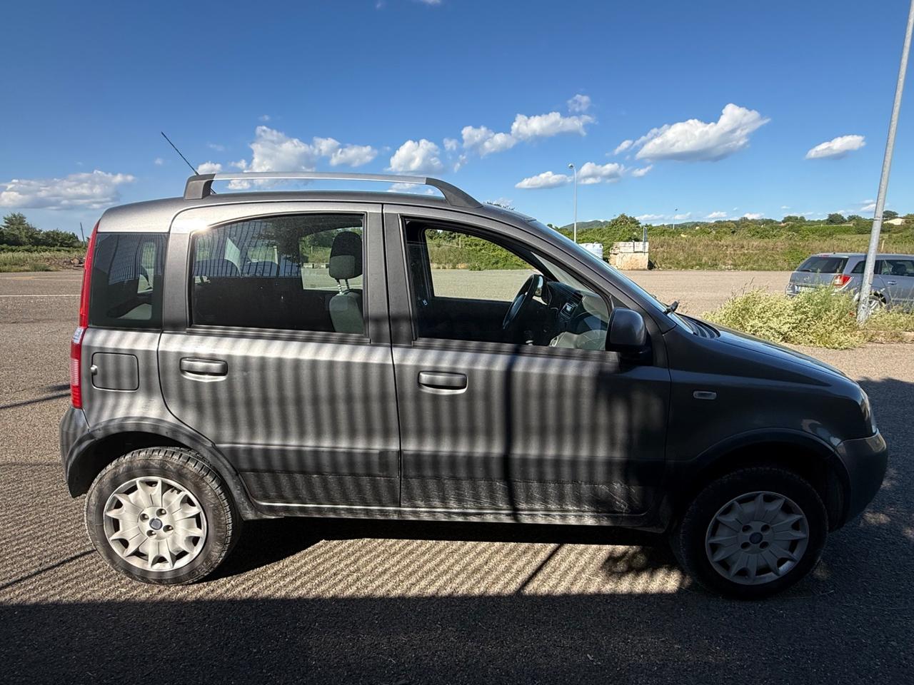 Fiat Panda 1.2 4x4 GPL