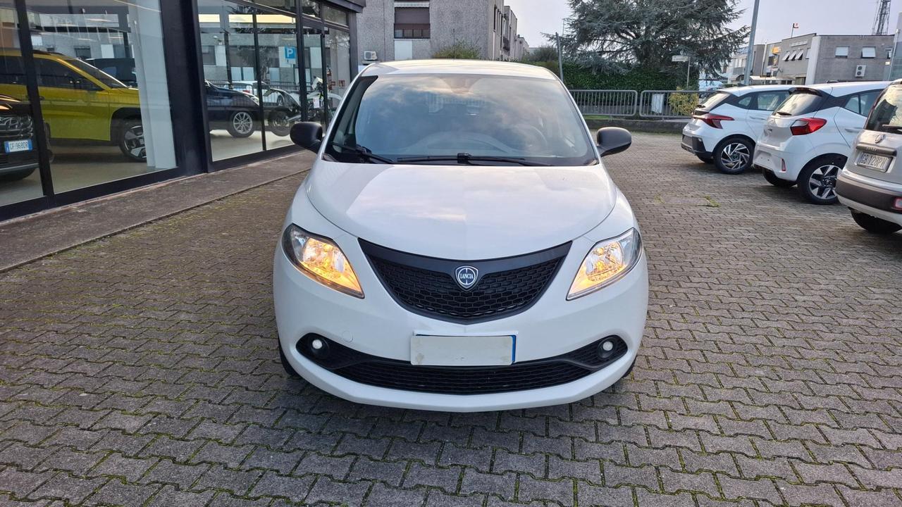 Lancia Ypsilon 5 Porte Ypsilon 1.2 Elefantino Blu s&s 69cv my19