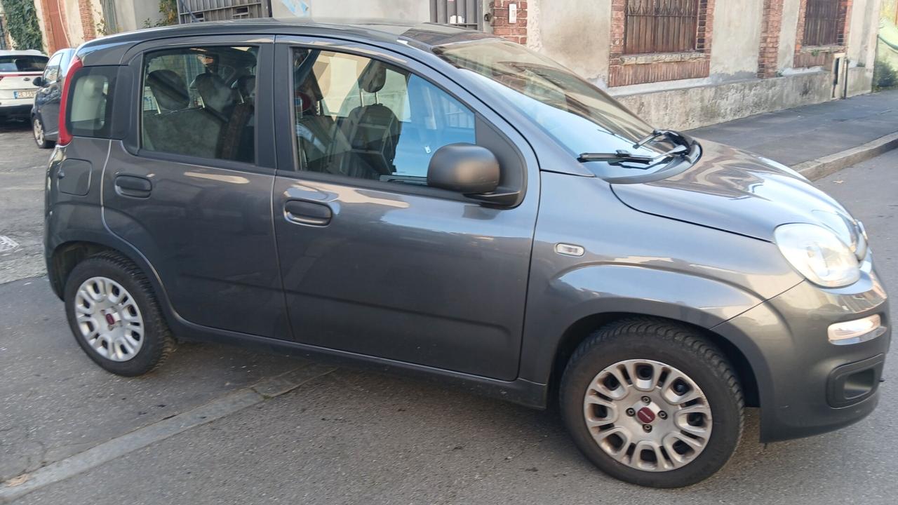 Fiat Panda 1.2 BENZINA 5 POSTI LOUNGE