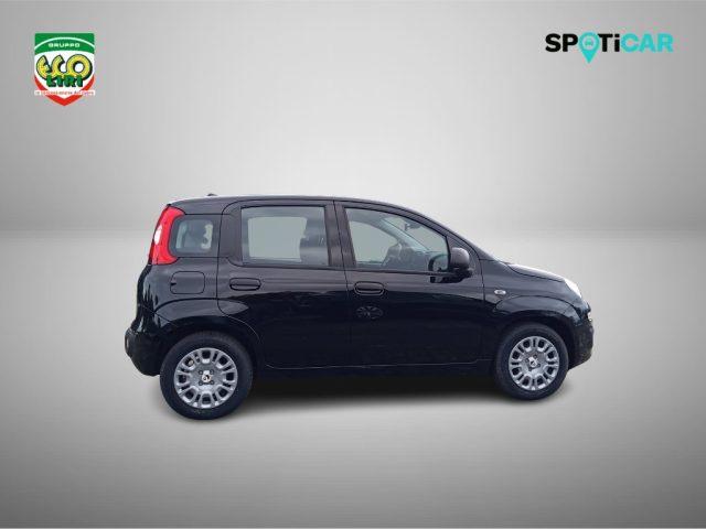 FIAT Panda 1.0 FireFly S&S Hybrid+GPL