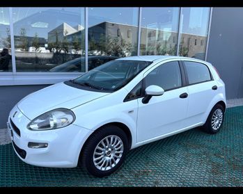 FIAT Punto 2012 Benzina - Punto 1.2 Street 5p E6