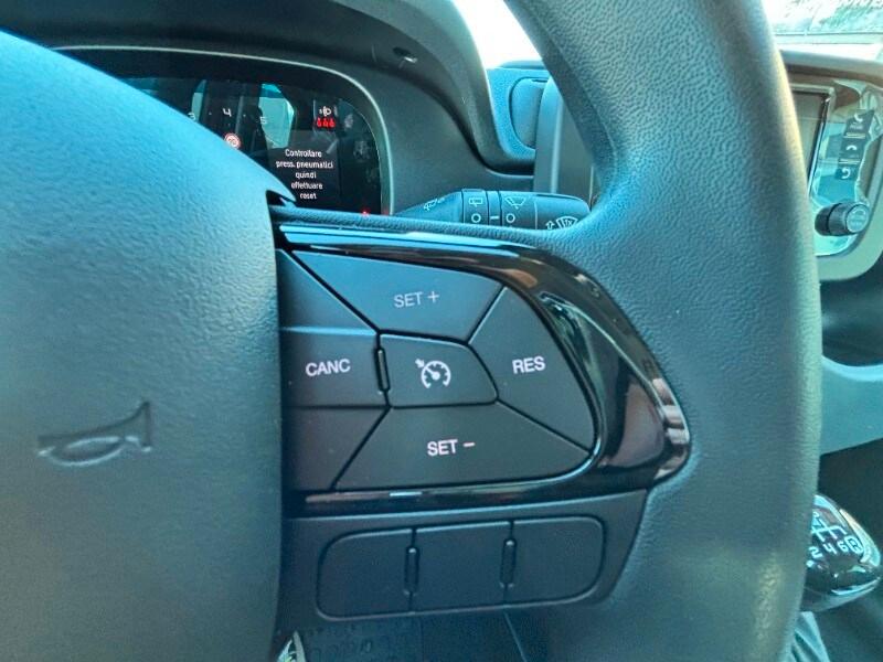 FIAT Panda 3ª serie Panda 1.0 FireFly S&S Hybrid