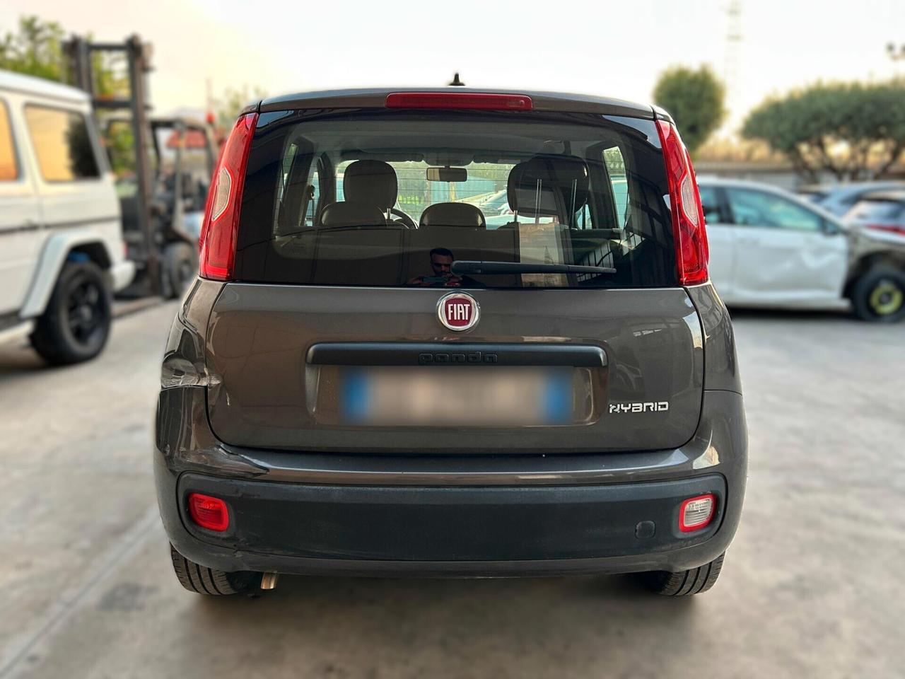 Fiat New Panda 1.0 Hybrid - 2021 Incidentata